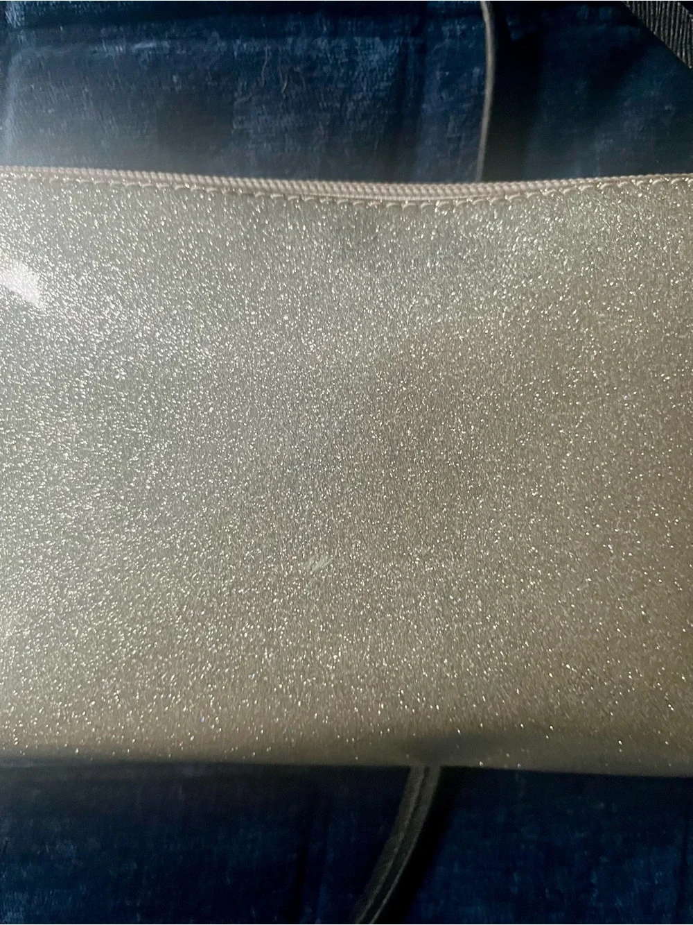 Kate Spade Silver Glitter Crossbody Bag with Bow Accent